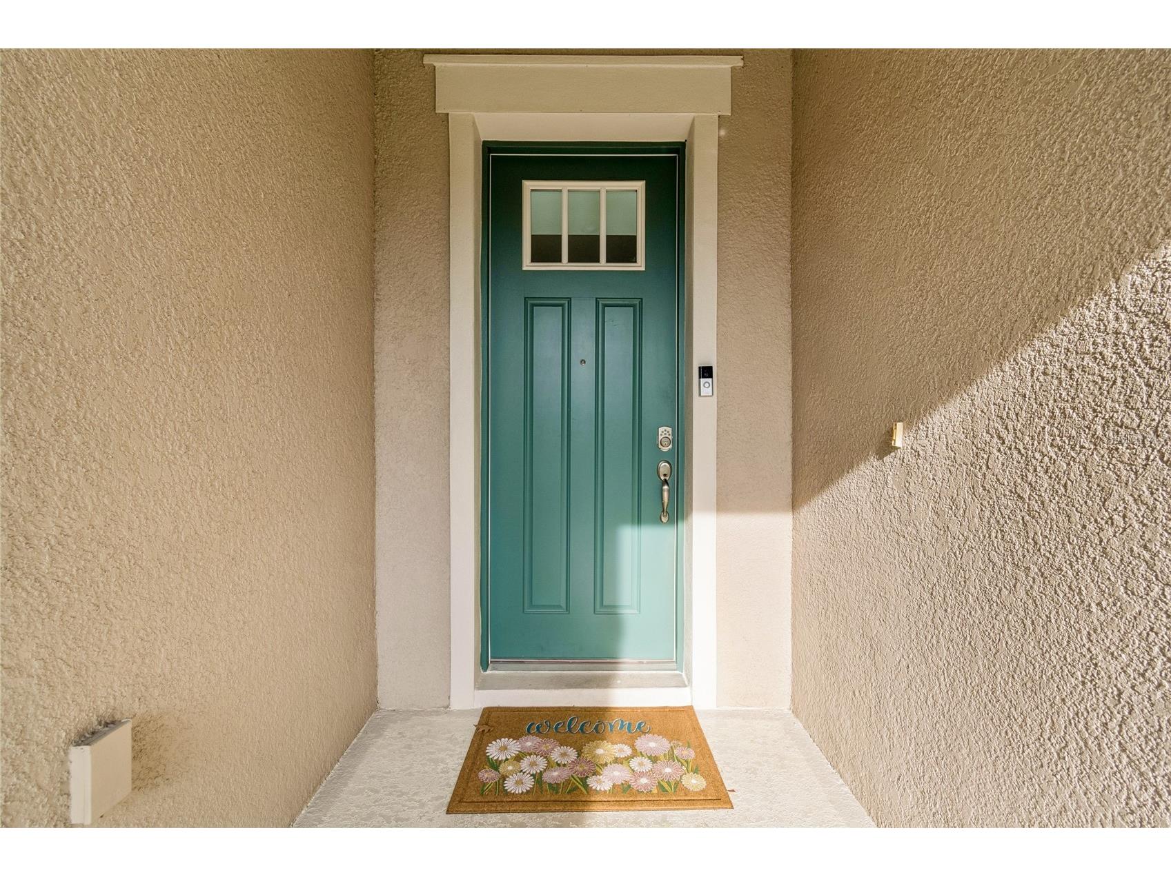 9323 Bella Vita Circle Land O Lakes FL 34637 TB8518732 image7