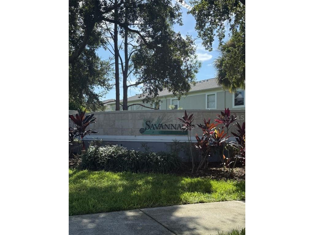 9323 Flowering Cottonwood Road Orlando FL 32832 O6342269 image3