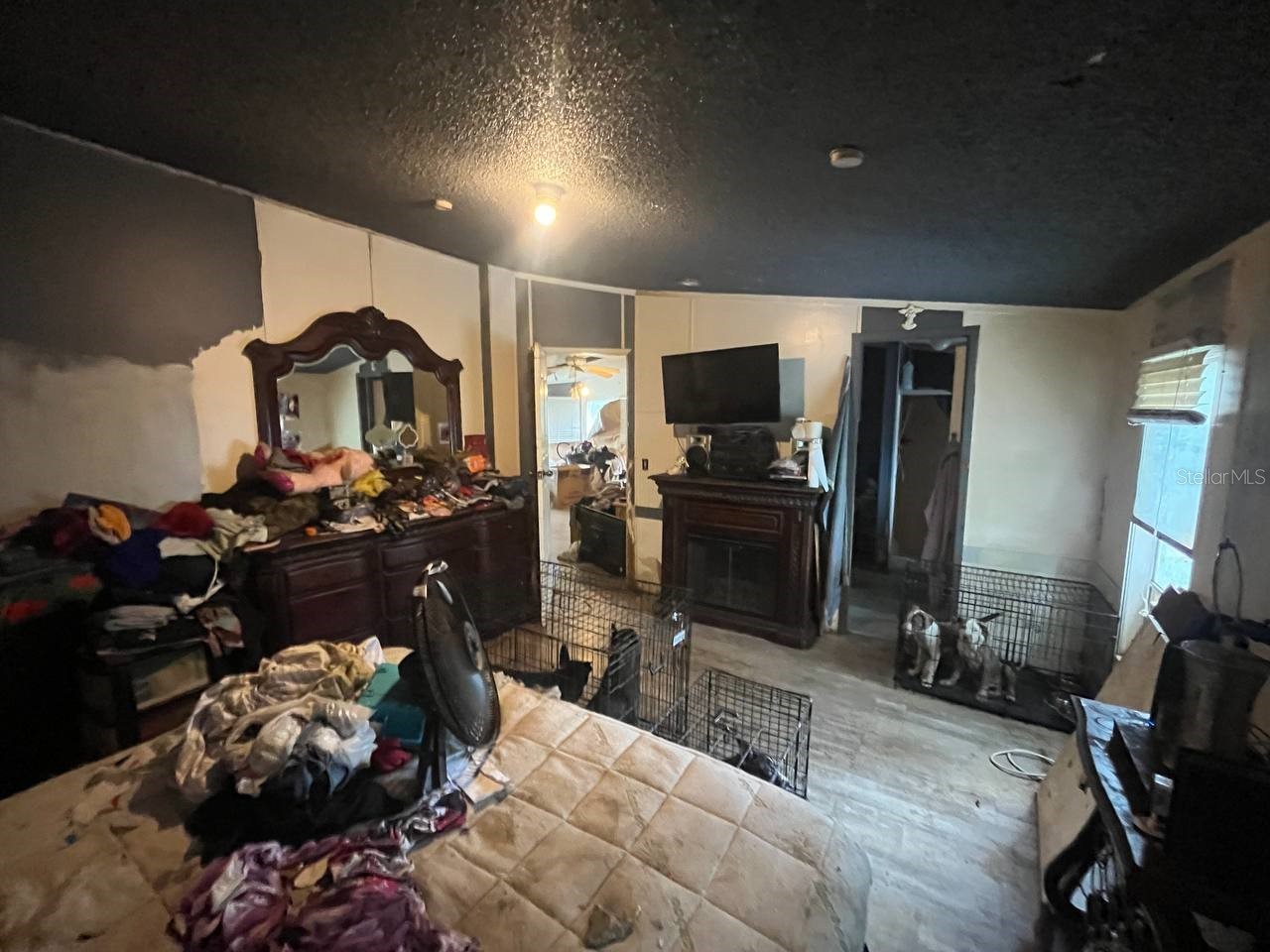 9323 Kissimmee Street New Port Richey FL 34654 A4696335 image13