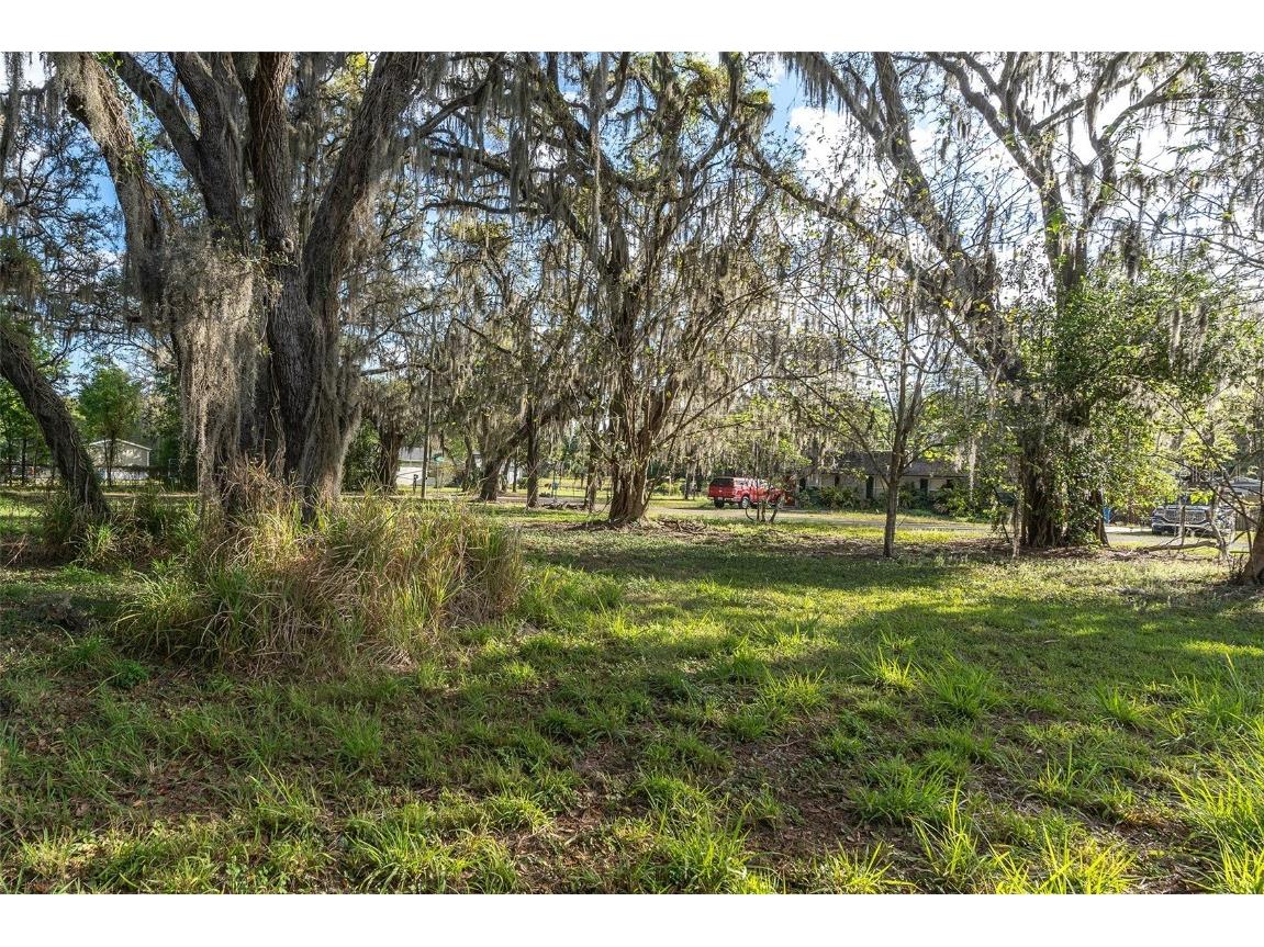 9323 Ripley Road #B Thonotosassa FL 33592 U8194427 image1