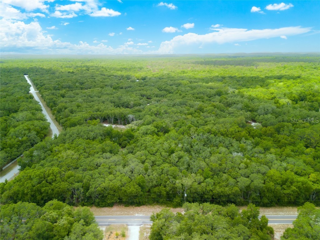 9323 Wheystone Drive Webster FL 33597 T3524485 image1