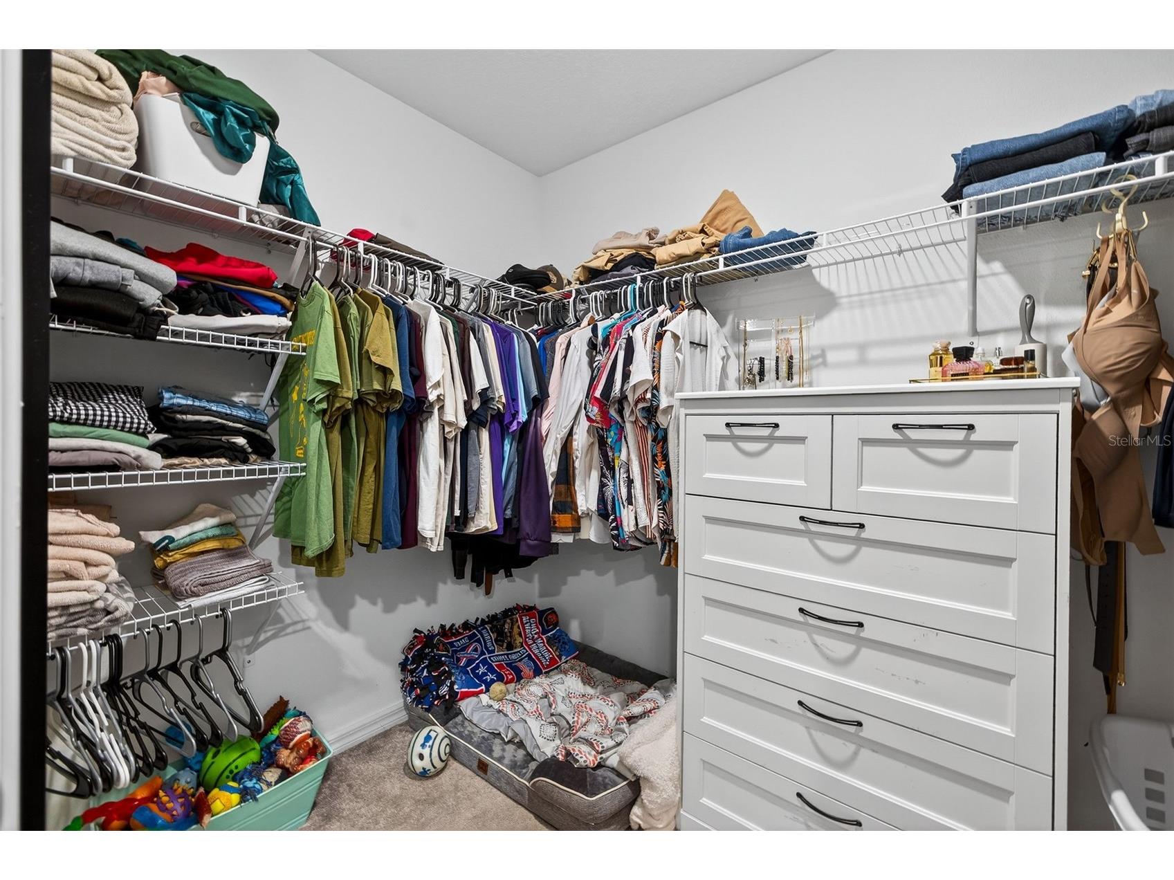 9324 Lemon Drop Loop Sun City Center FL 33573 TB8495811 image16