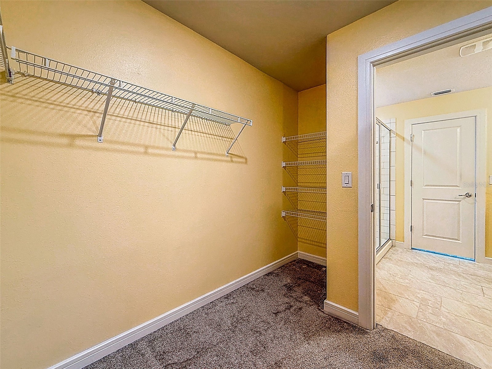 9324 Rally Spring Loop Wesley Chapel FL 33545 TB8477687 image31