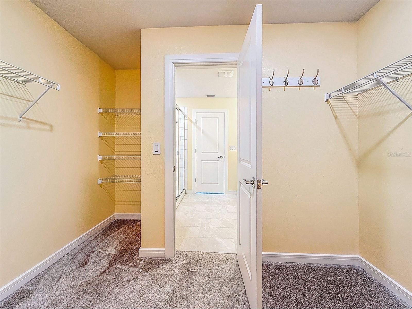 9324 Rally Spring Loop Wesley Chapel FL 33545 TB8477687 image32