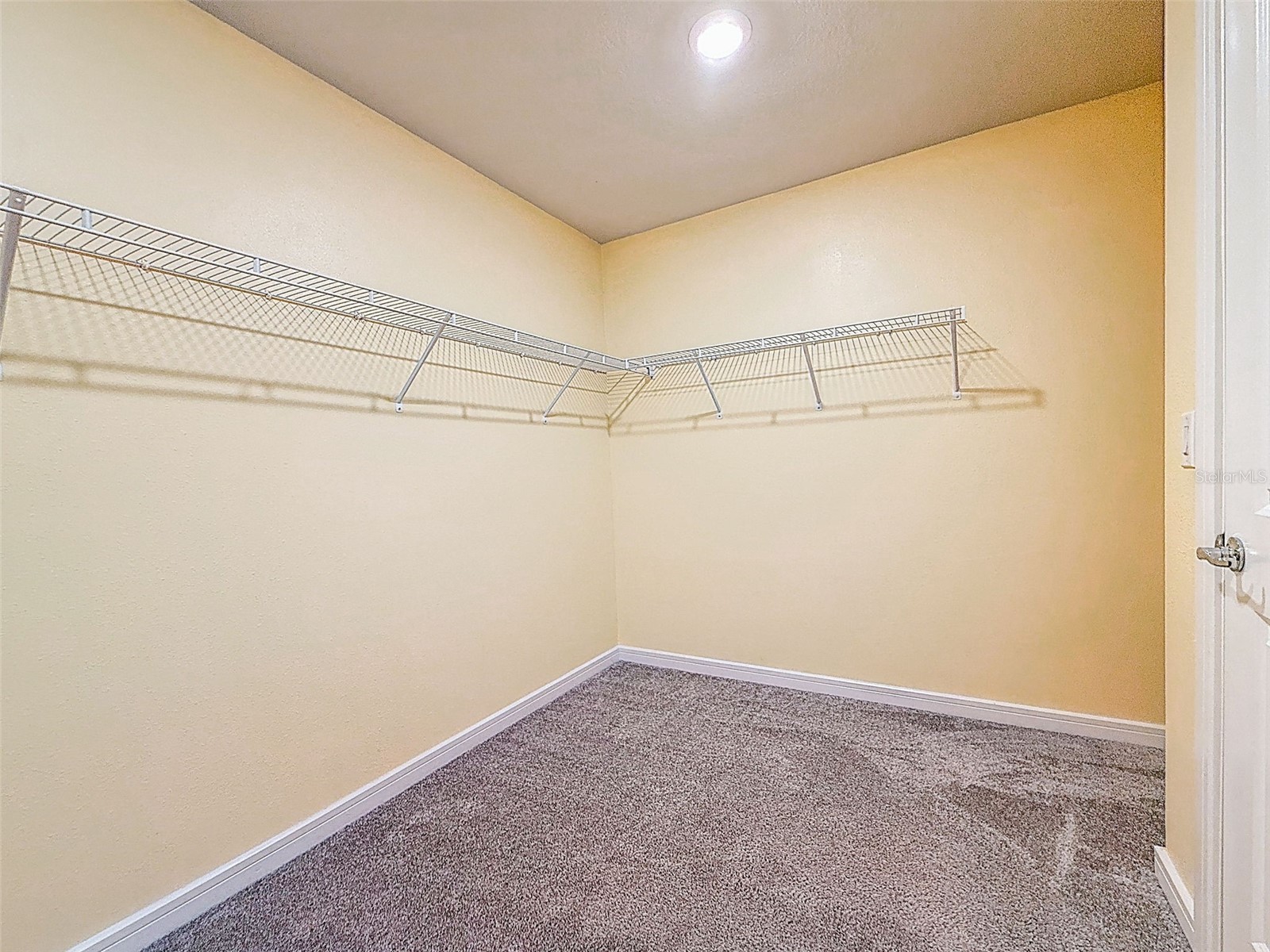 9324 Rally Spring Loop Wesley Chapel FL 33545 TB8477687 image33