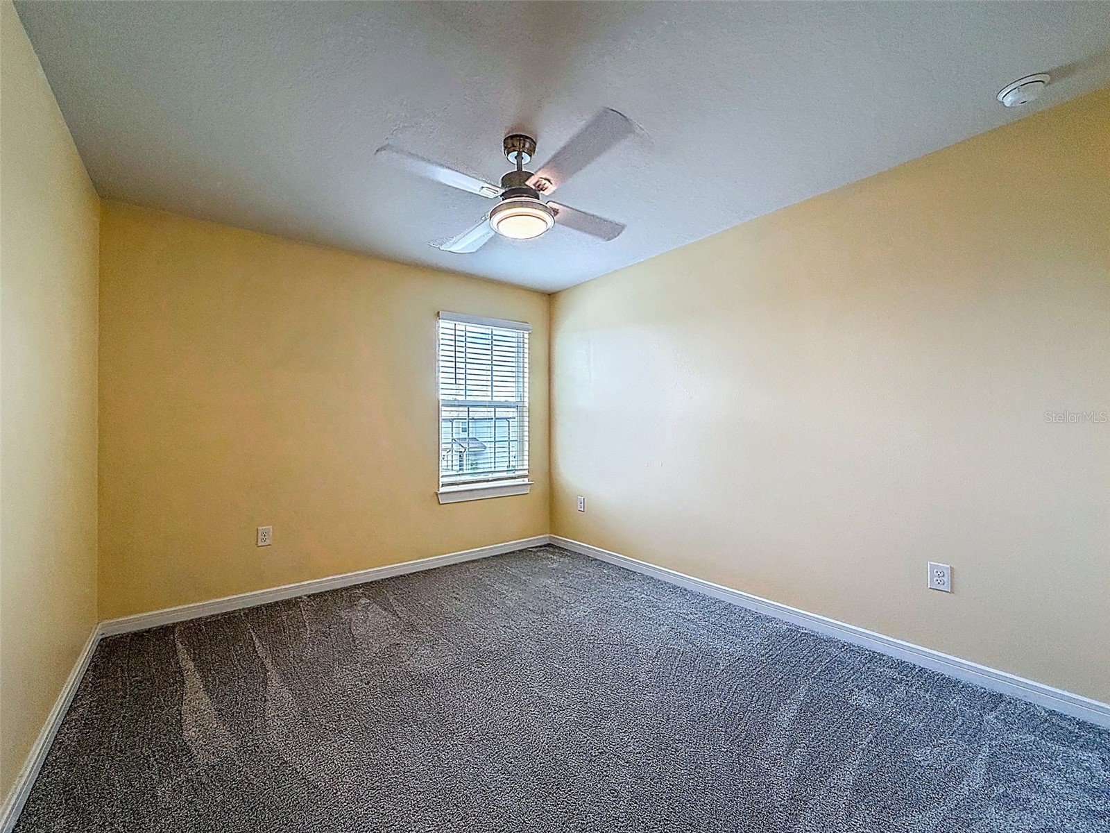 9324 Rally Spring Loop Wesley Chapel FL 33545 TB8477687 image38