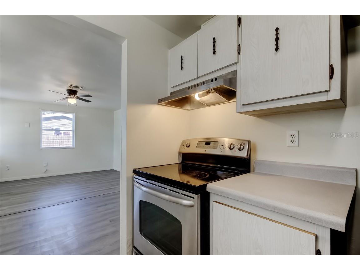 9325 Pinero Street Spring Hill FL 34608 TB8421441 image20