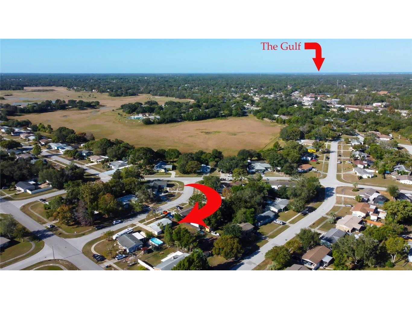 9325 Pinero Street Spring Hill FL 34608 TB8421441 image54