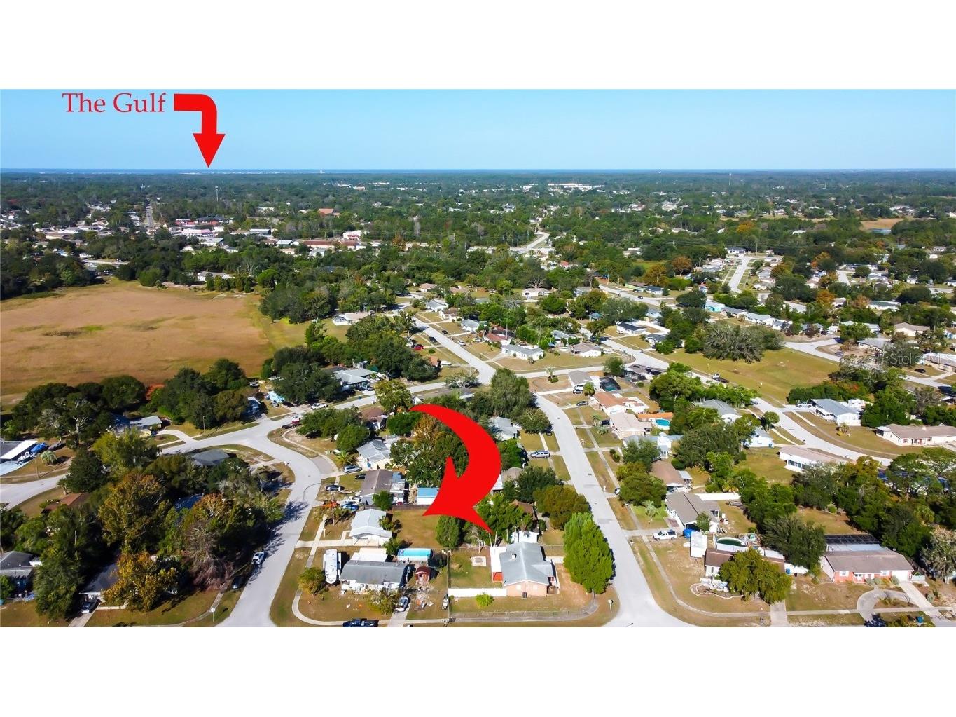 9325 Pinero Street Spring Hill FL 34608 TB8421441 image55