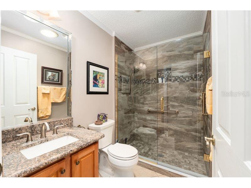 9325 SE 171st Le Flore Lane The Villages FL 32162 OM722955 image23
