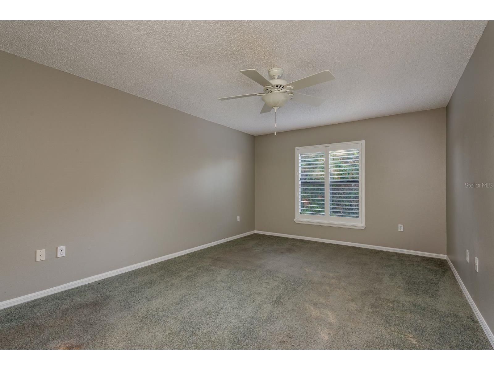 9326 Palm Haven Court New Port Richey FL 34655 W7882604 image18