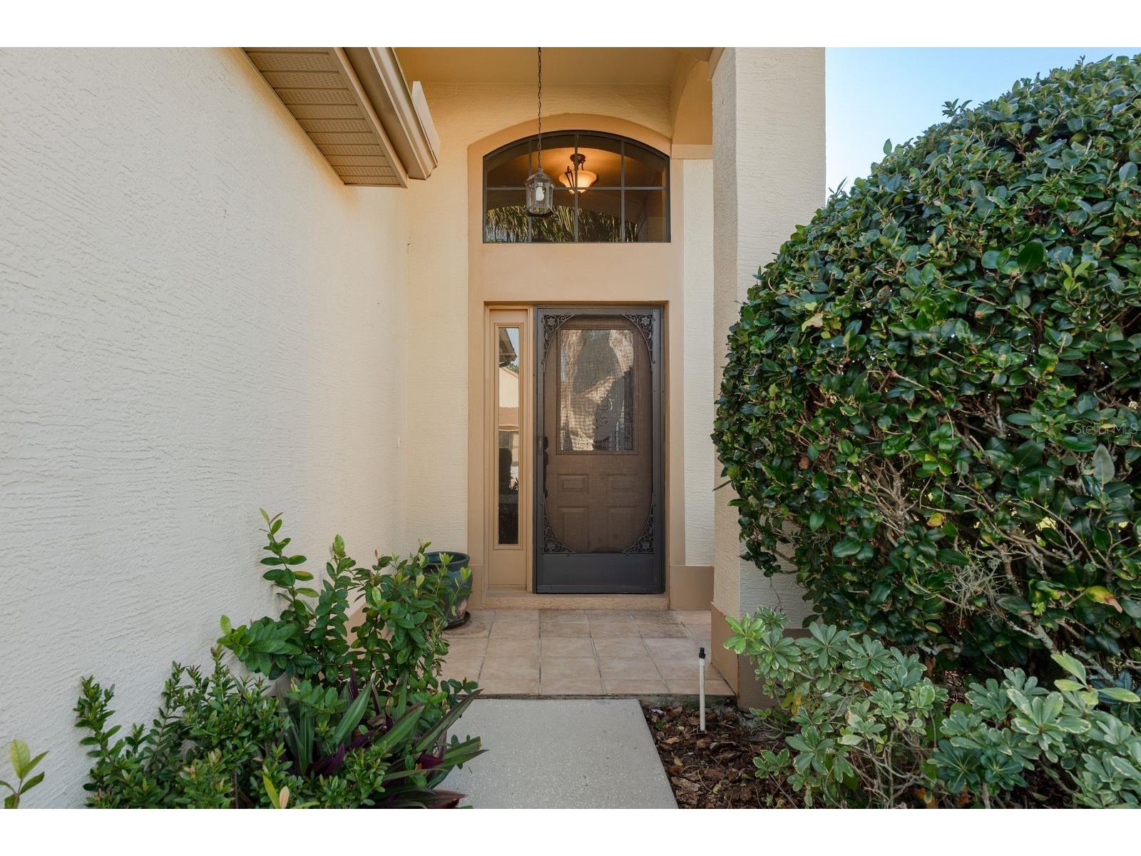 9326 Palm Haven Court New Port Richey FL 34655 W7882604 image4