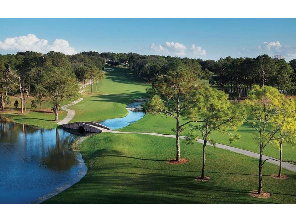 9326 San Jose Blvd Howey In The Hills FL 34737 O6337028 image43