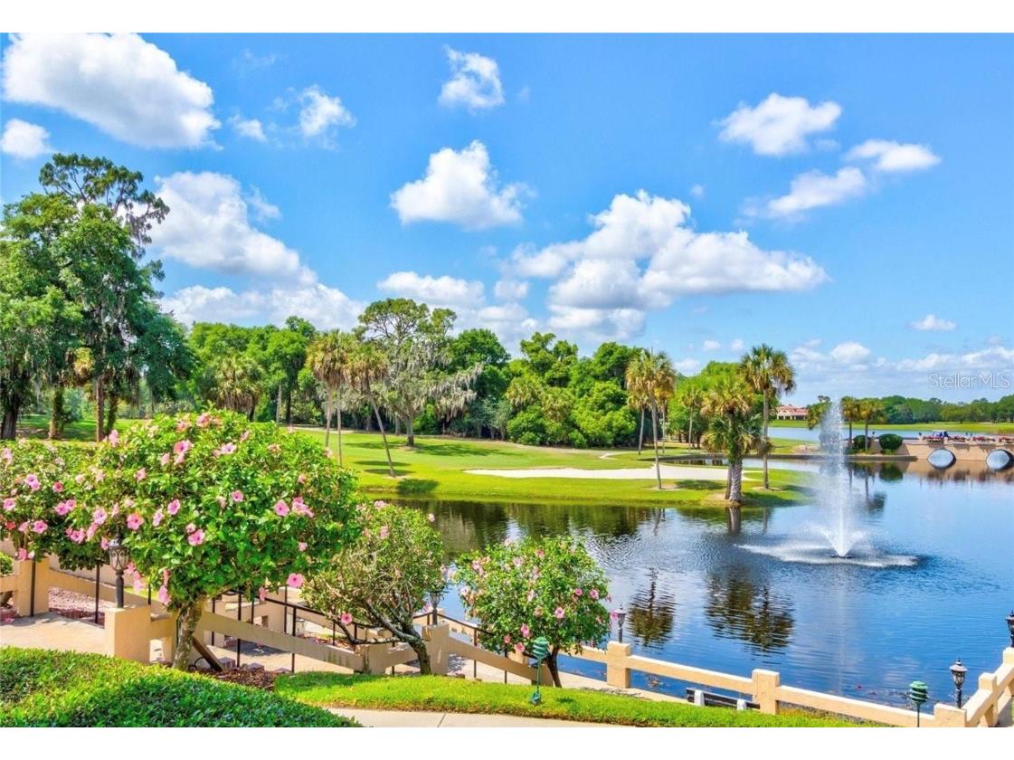 9326 San Jose Blvd Howey In The Hills FL 34737 O6337028 image47