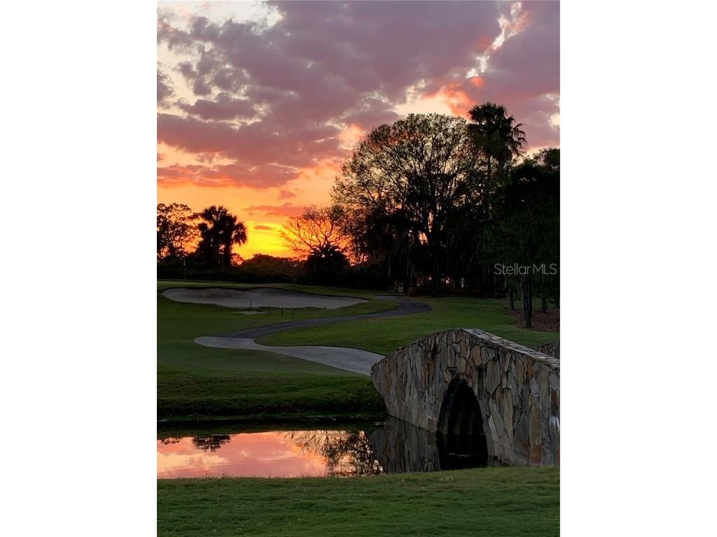 9326 San Jose Blvd Howey In The Hills FL 34737 O6337028 image54