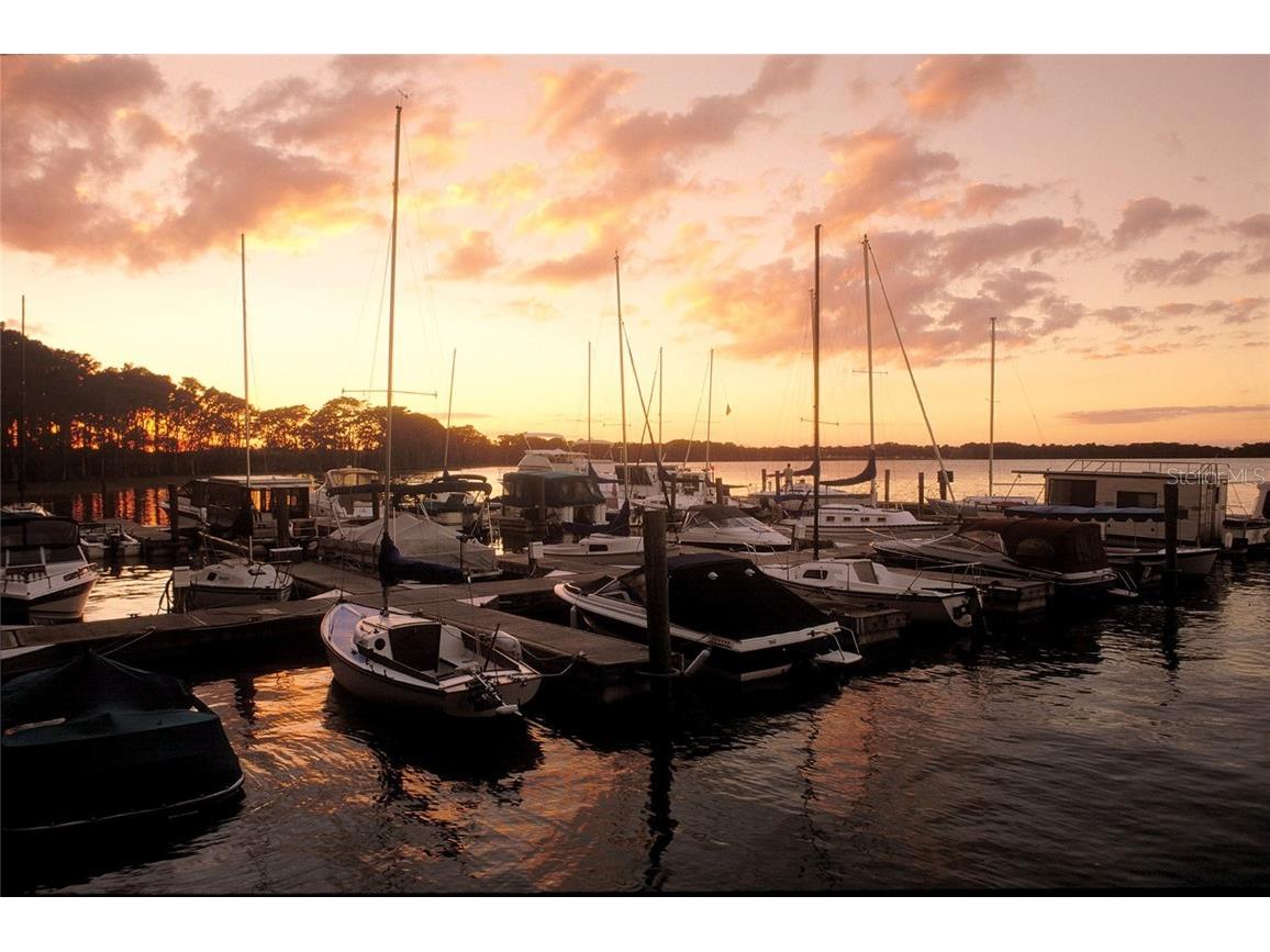 9326 San Jose Blvd Howey In The Hills FL 34737 O6337028 image55