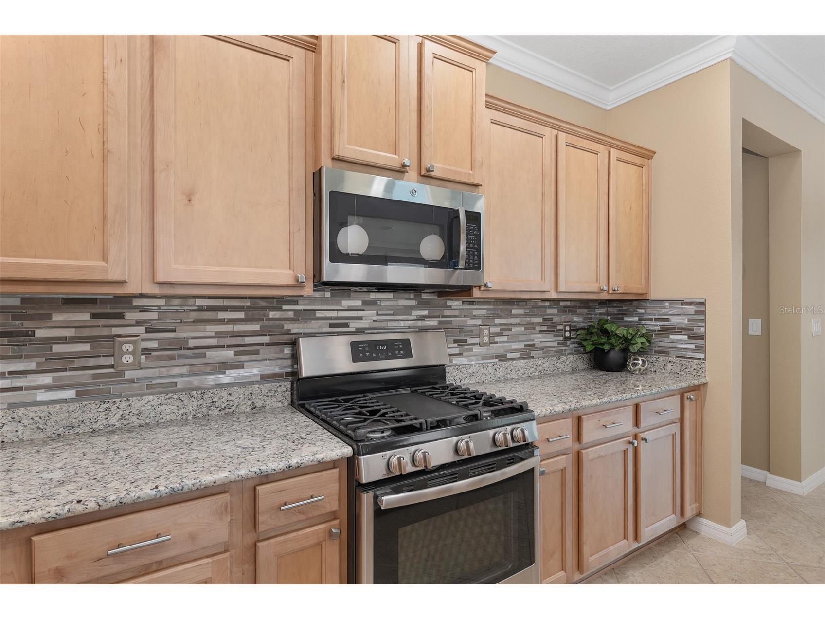 9326 SW 97th Circle Ocala FL 34481 OM723915 image23