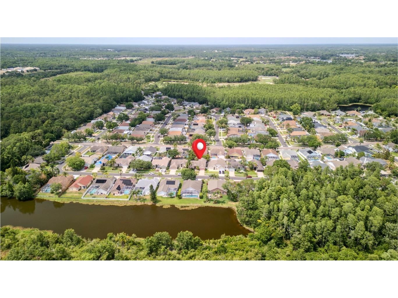 9327 Pontiac Drive Tampa FL 33626 TB8453097 image4