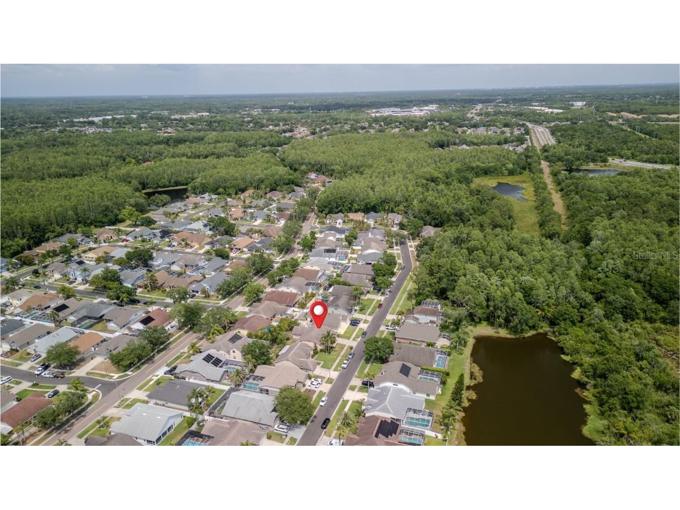 9327 Pontiac Drive Tampa FL 33626 TB8453097 image5