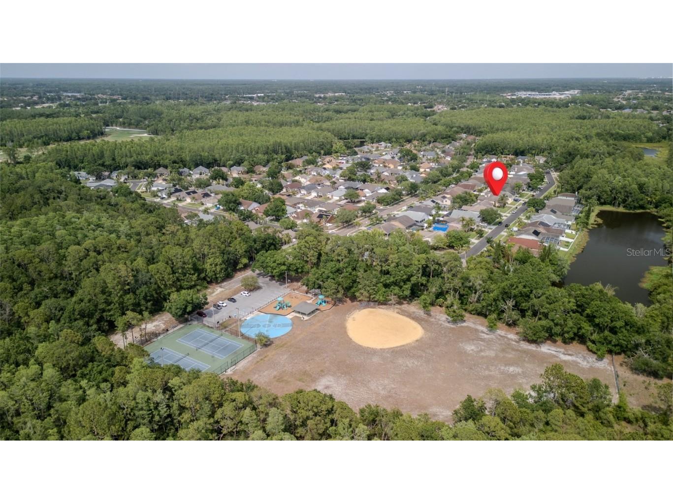 9327 Pontiac Drive Tampa FL 33626 TB8453097 image7