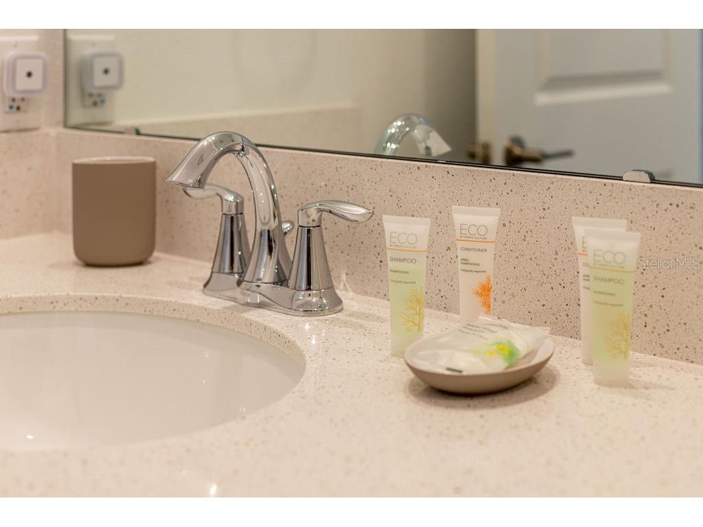 9327 Sommerset Hills Drive #9327 Davenport FL 33896 TB8425630 image27