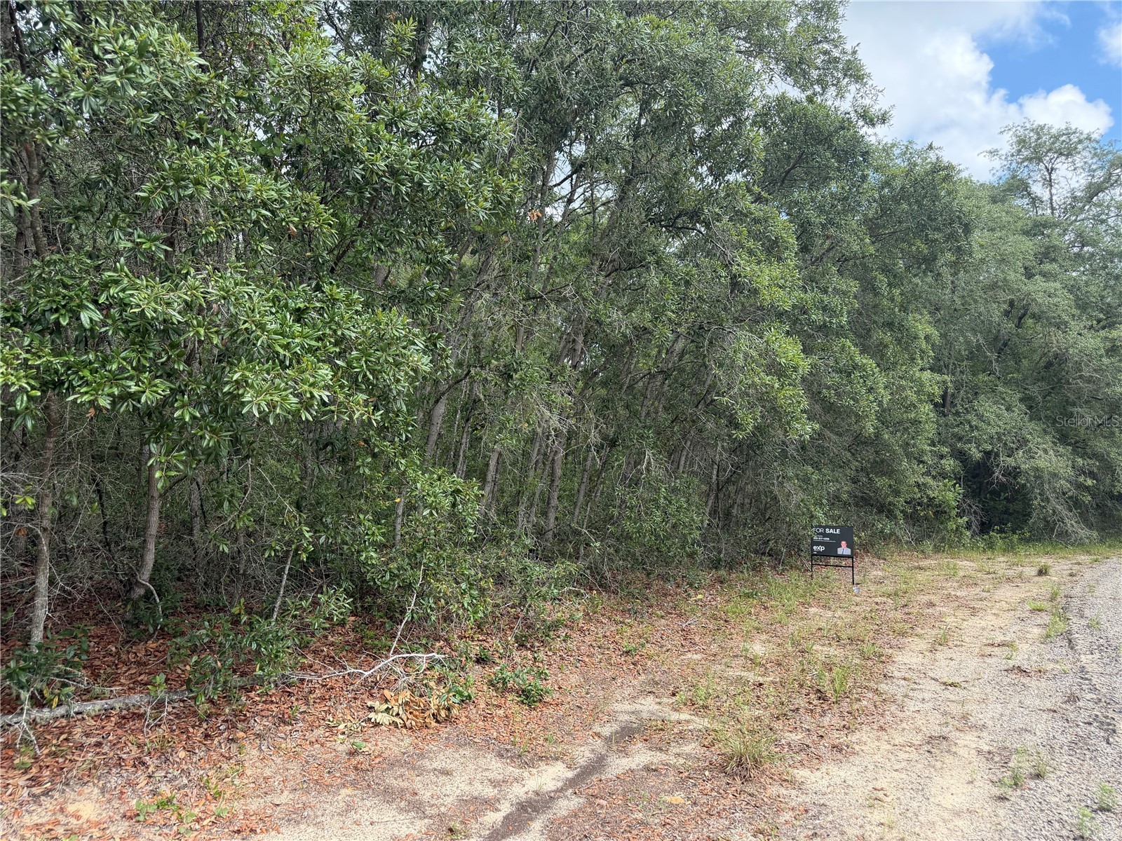 9328 N Rada Terrace Dunnellon FL 34434 TB8518151 image2