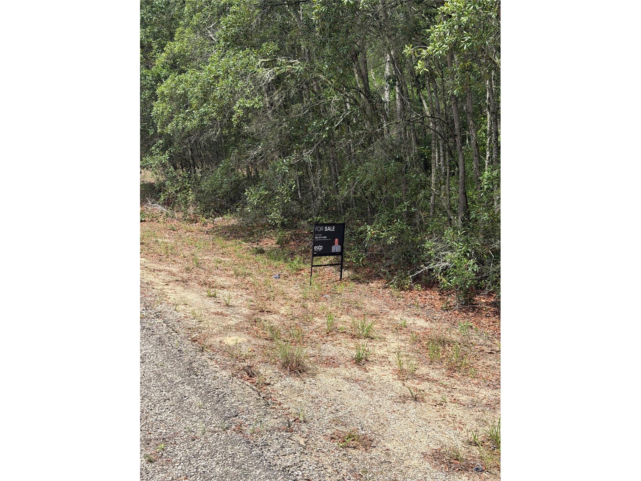 9328 N Rada Terrace Dunnellon FL 34434 TB8518151 image3