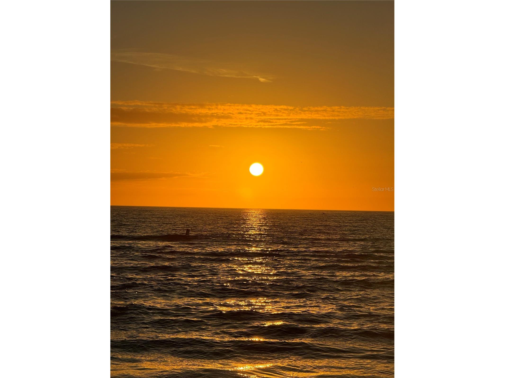 933 Eldorado Avenue Clearwater Beach FL 33767 - GULF OF AMERICA TB8510502 image100