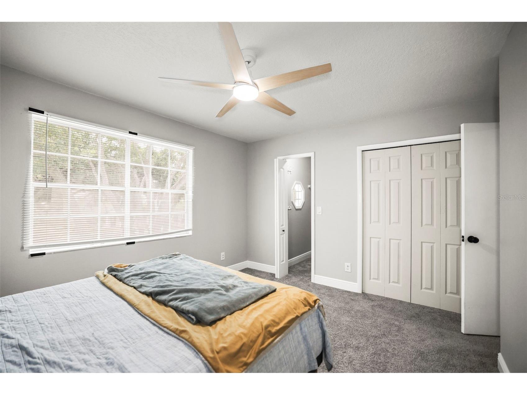 933 Hamilton Court Palm Harbor FL 34683 TB8509208 image16