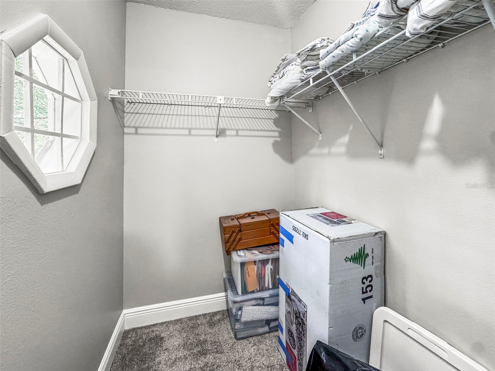 933 Hamilton Court Palm Harbor FL 34683 TB8509208 image19