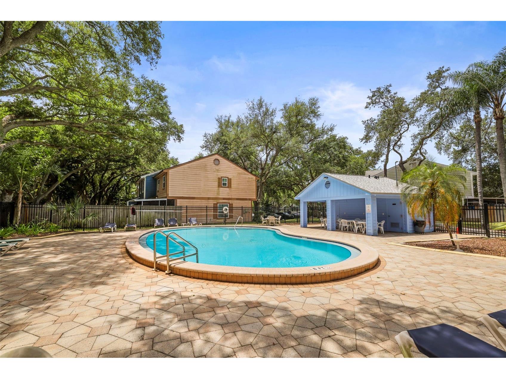 933 Hamilton Court Palm Harbor FL 34683 TB8509208 image22