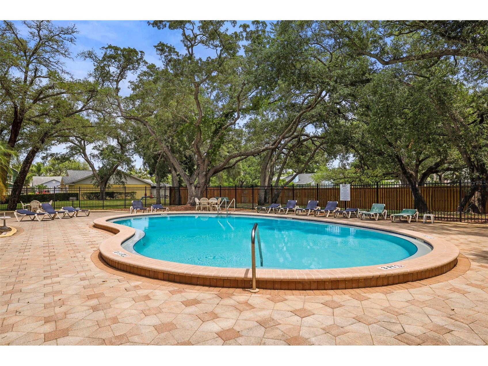 933 Hamilton Court Palm Harbor FL 34683 TB8509208 image25