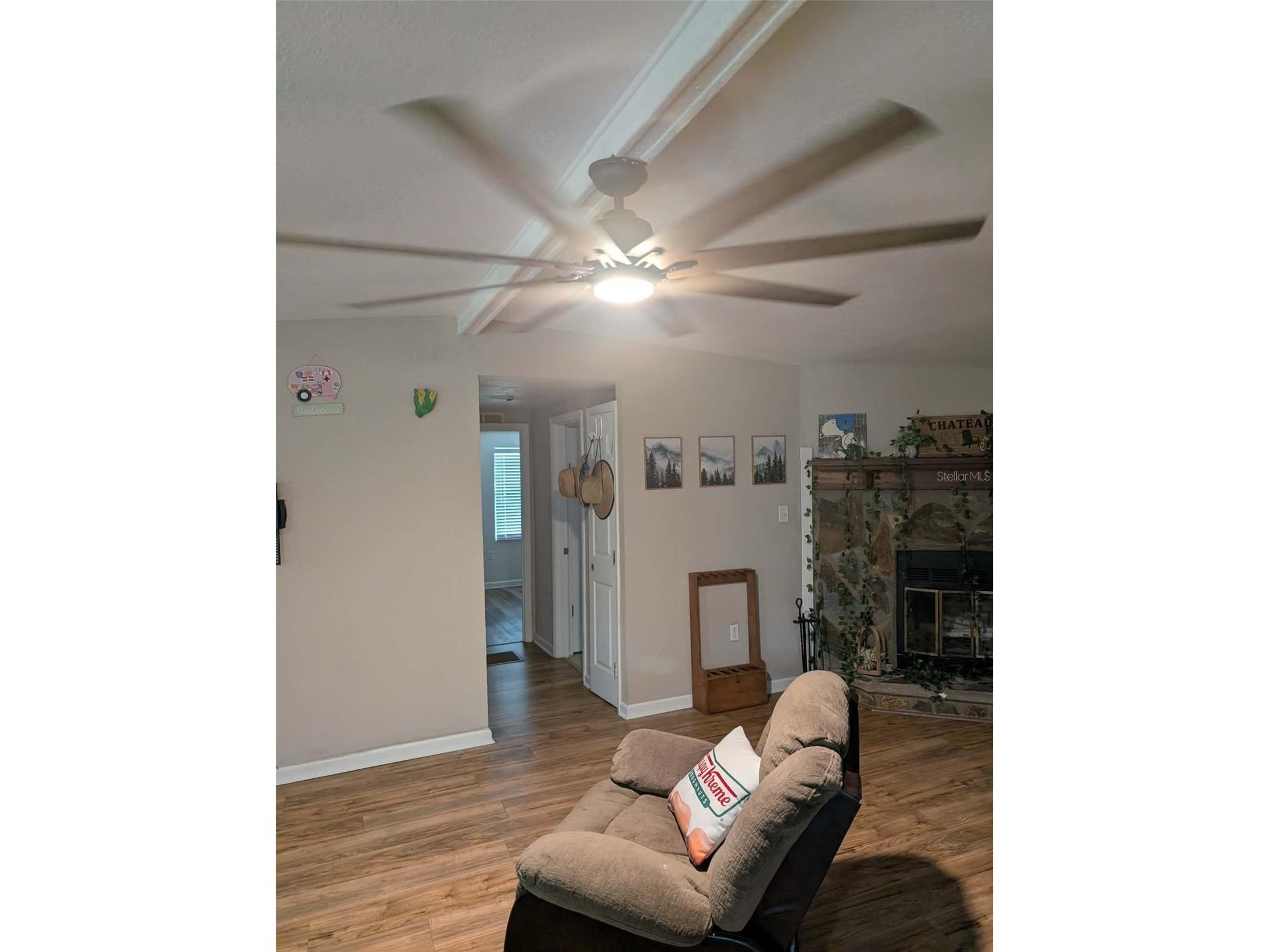 933 NE Fir St Pinetta FL 32350 S5153619 image12