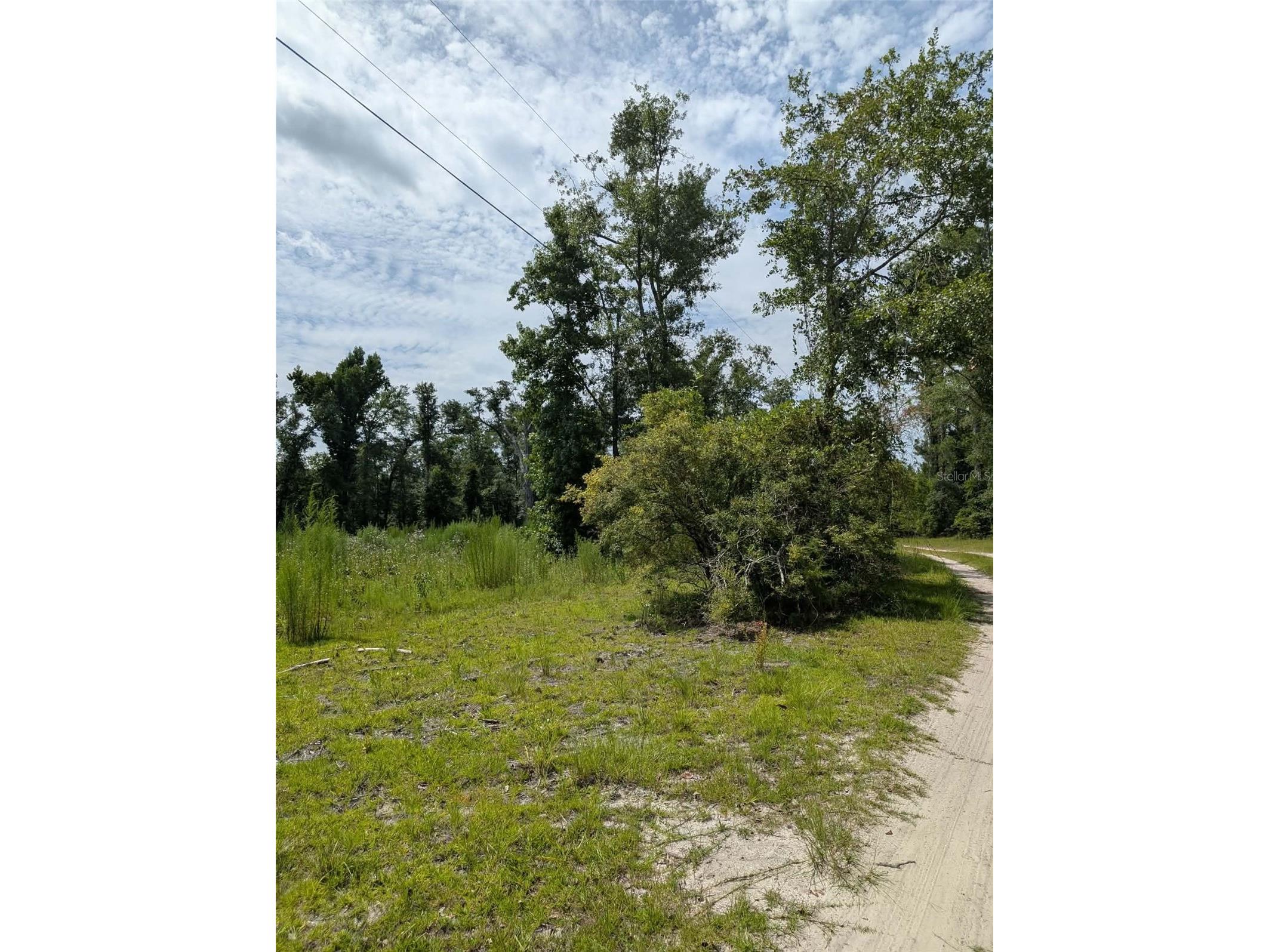 933 NE Fir St Pinetta FL 32350 S5153619 image16