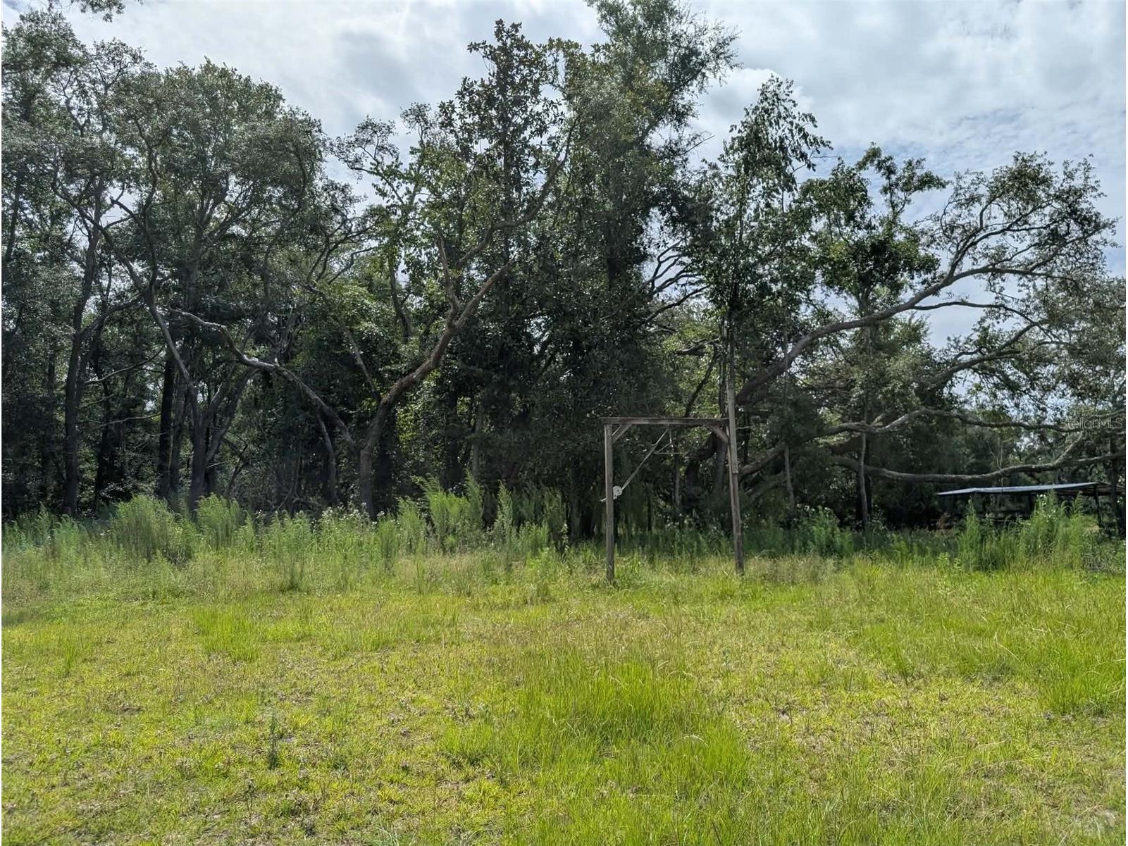 933 NE Fir St Pinetta FL 32350 S5153619 image17
