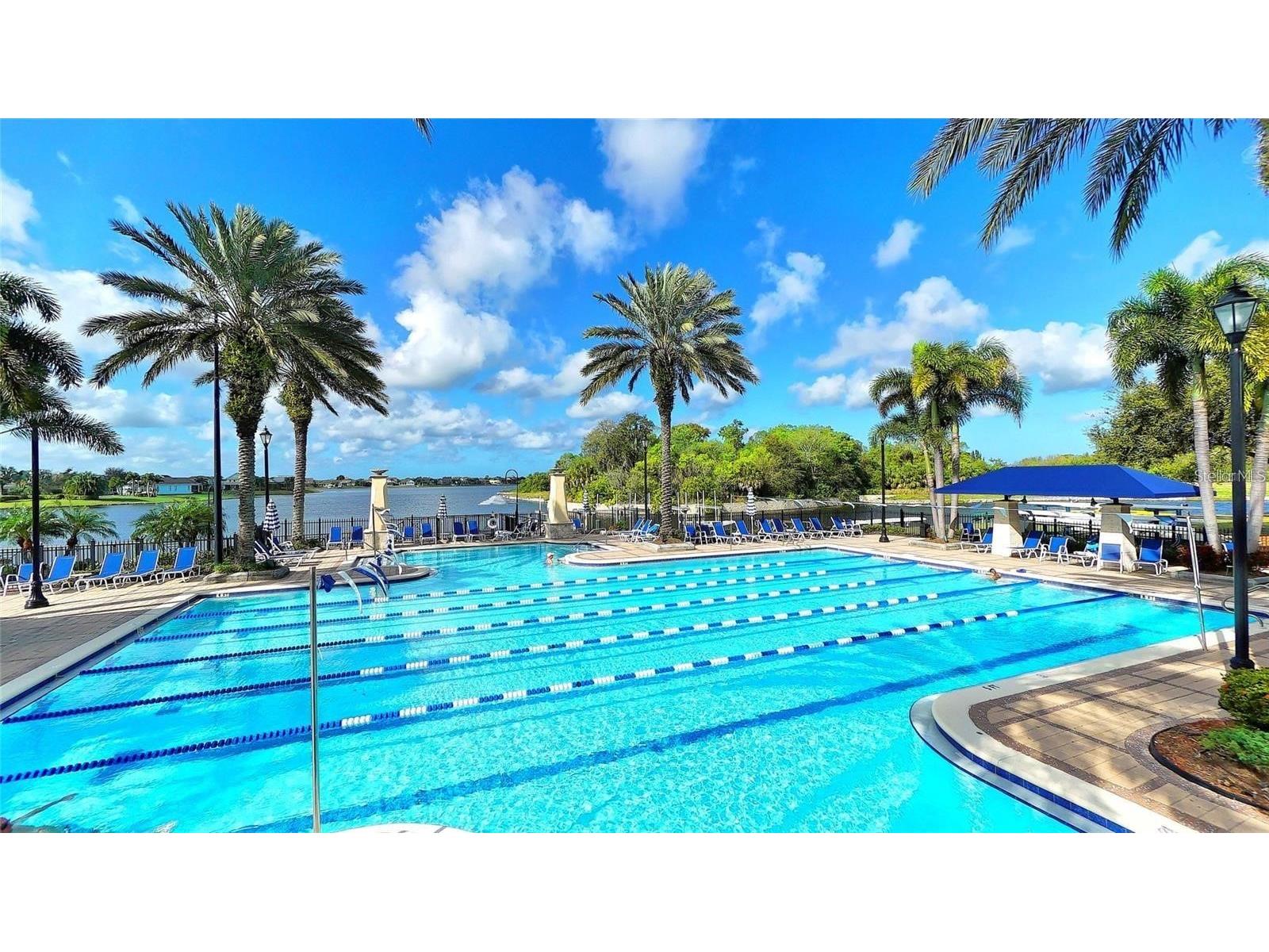 933 Signet Drive Apollo Beach FL 33572 TB8466334 image62