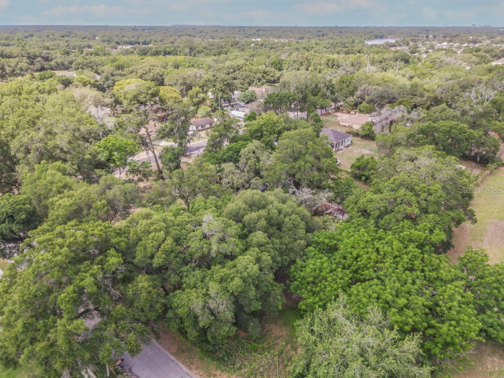 933 W Wheeler Road Brandon FL 33510 T3367903 image1