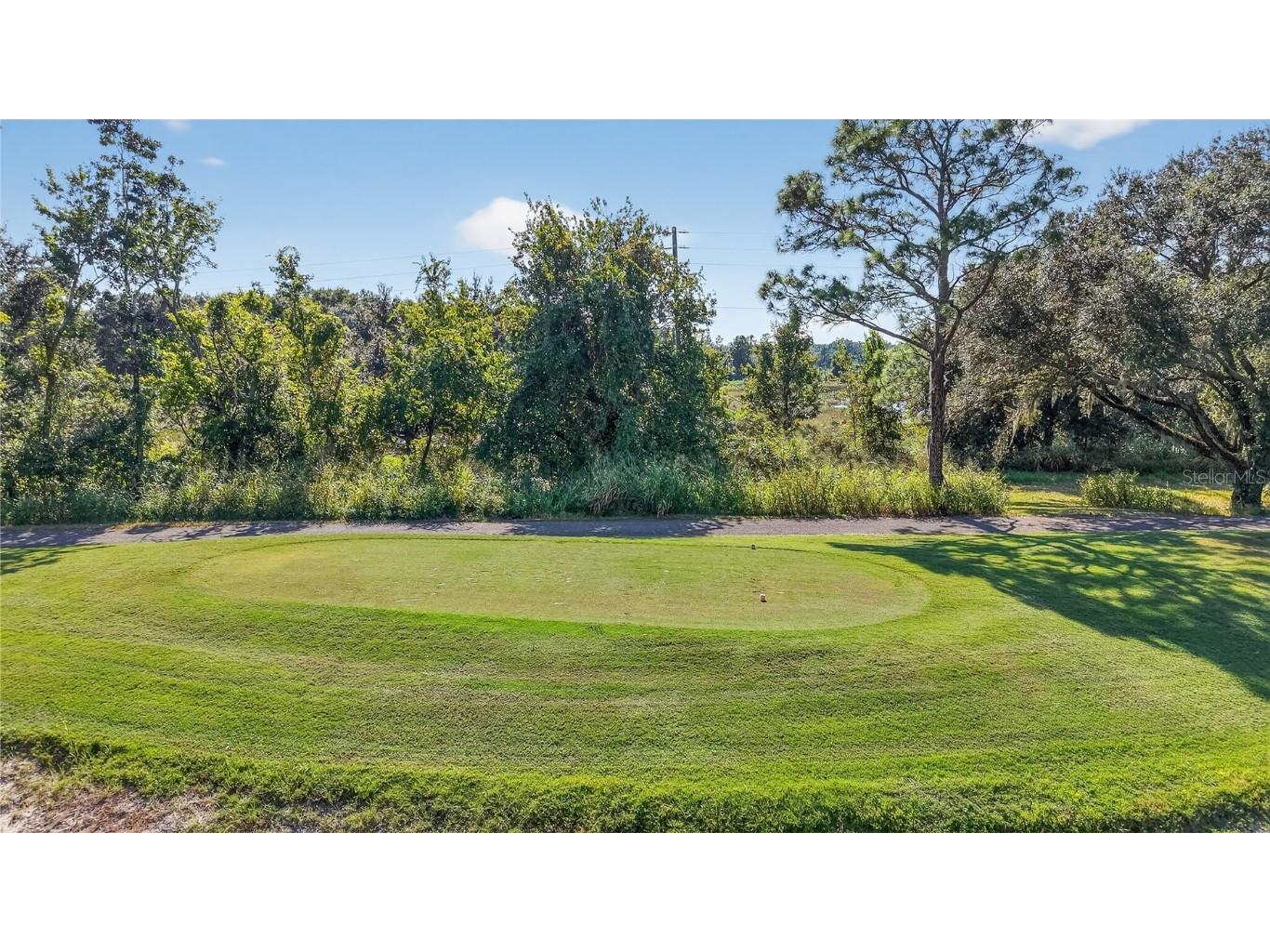 9330 San Jose Boulevard Howey In The Hills FL 34737 G5104240 image6