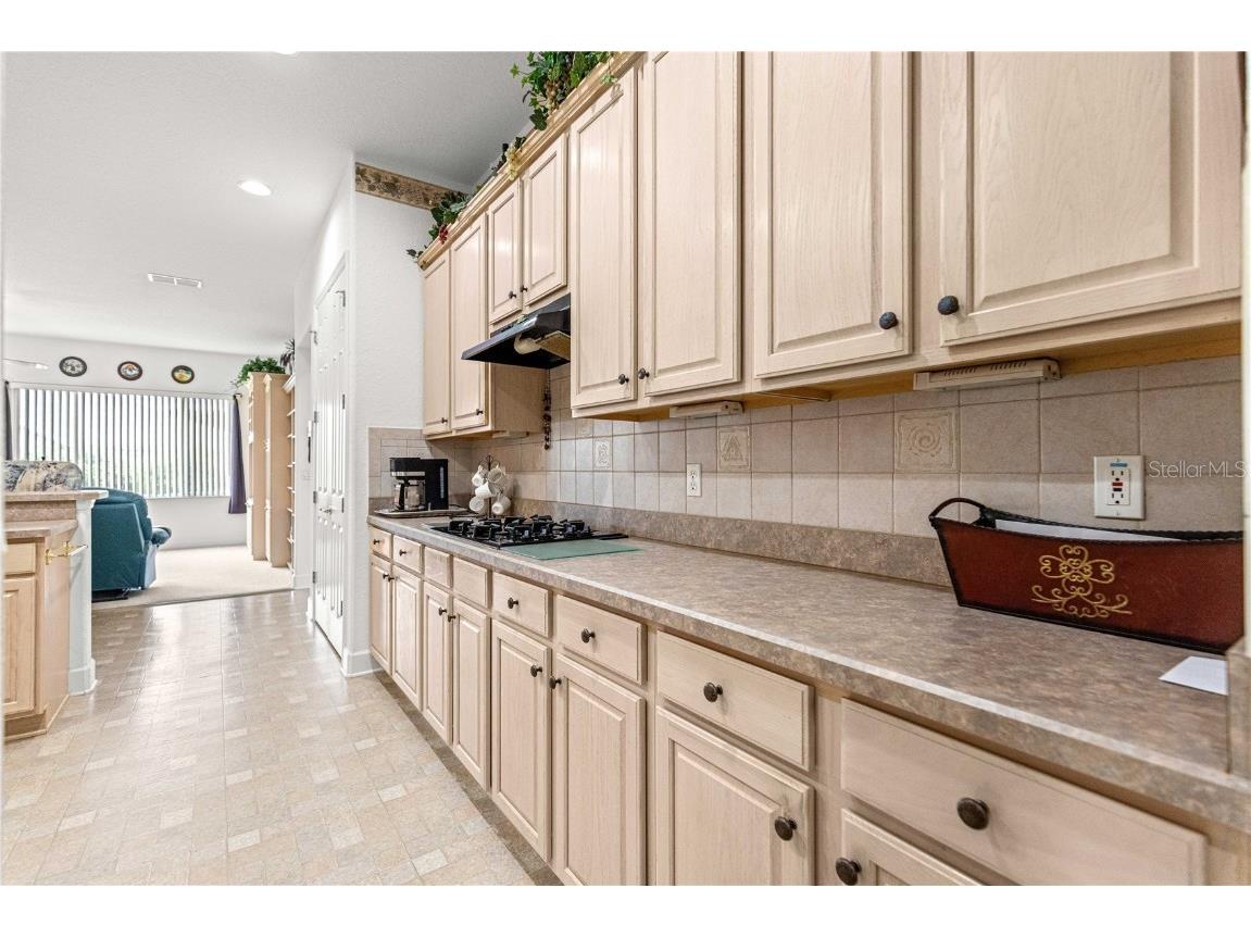 9330 SE 132nd Place Summerfield FL 34491 OM711747 image35