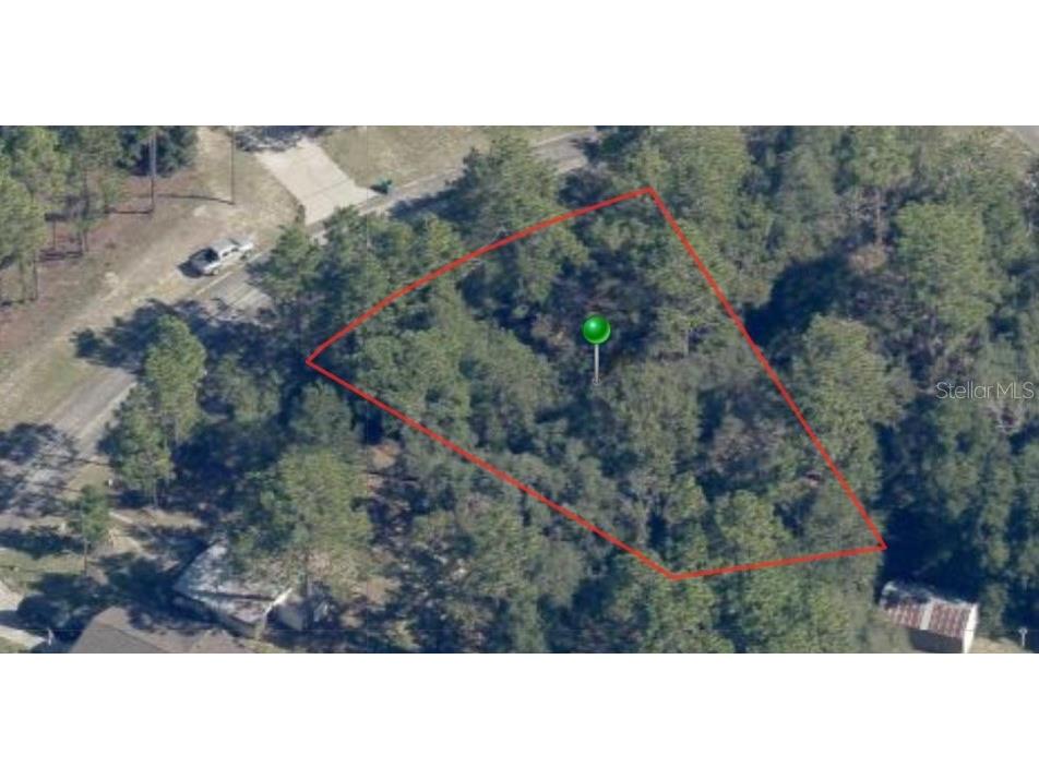 9331 N Marcus Way Citrus Springs FL 34433 A4577412 image2