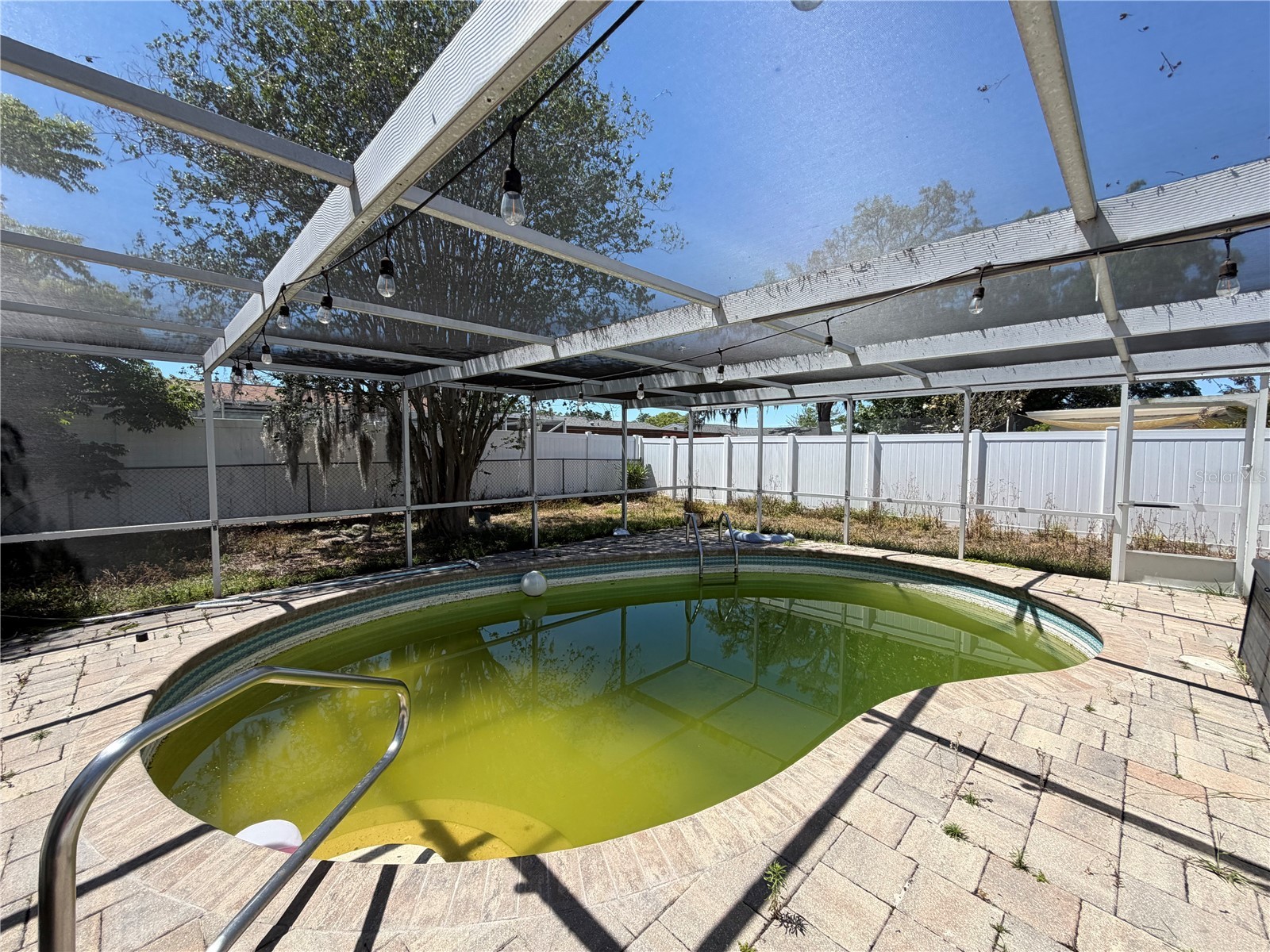 9331 Rainbow Lane Port Richey FL 34668 TB8505590 image24