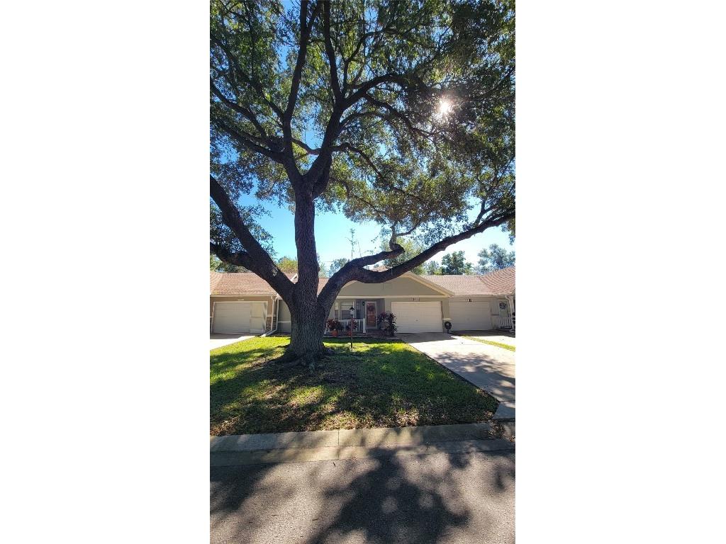 9331 SW 84th Terrace #D Ocala FL 34481 OM712928 image5