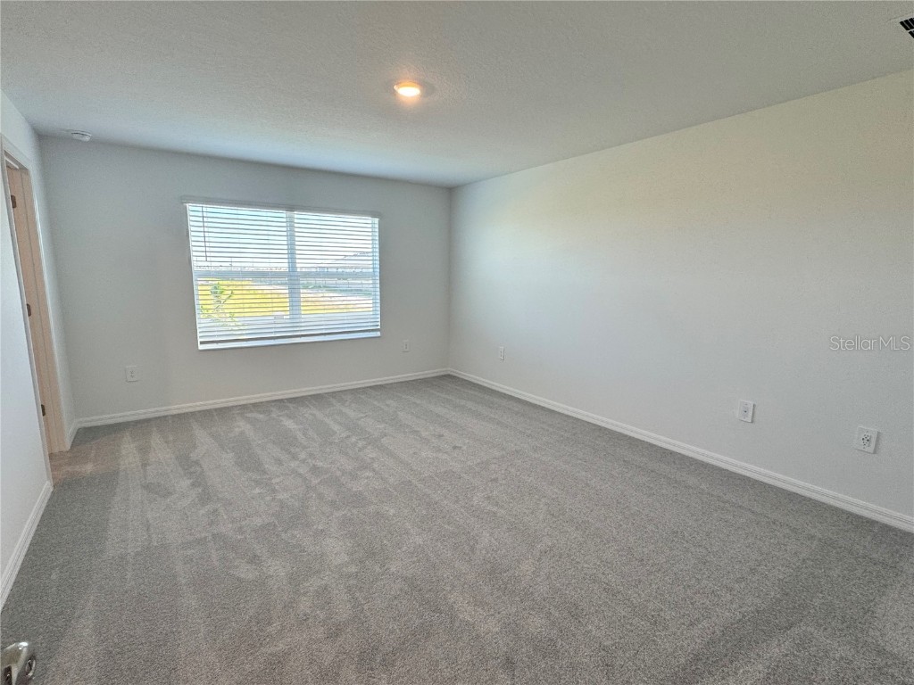 9333 Bonita Mar Drive Parrish FL 34219 TB8438892 image19