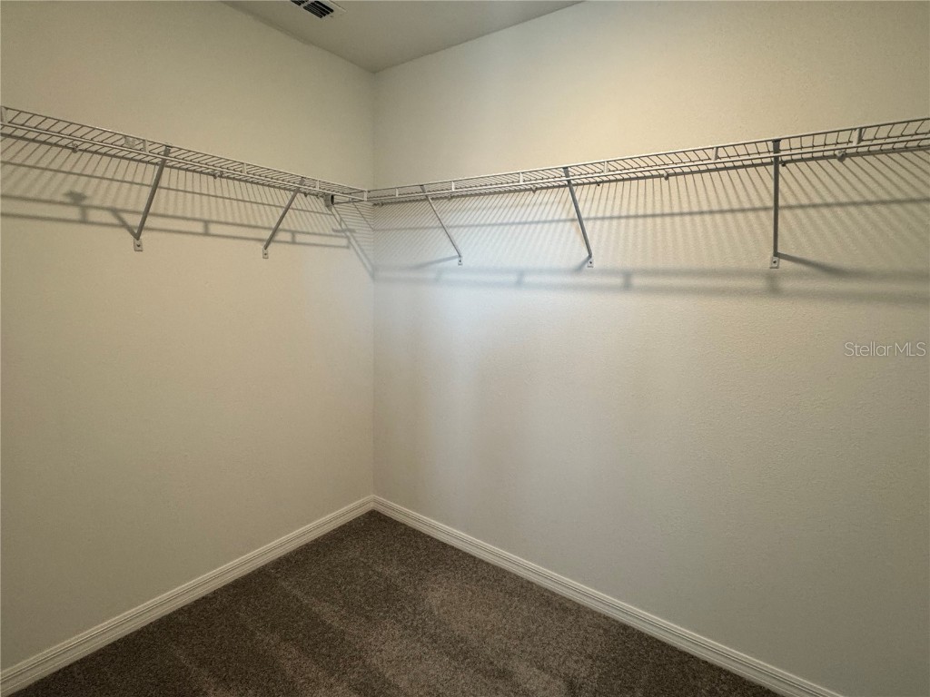 9333 Bonita Mar Drive Parrish FL 34219 TB8438892 image23