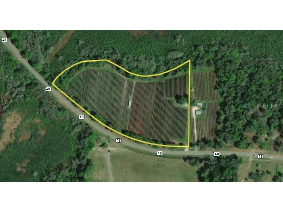 9333 E Bushnell Road Floral City FL 34436 OM704658 image1