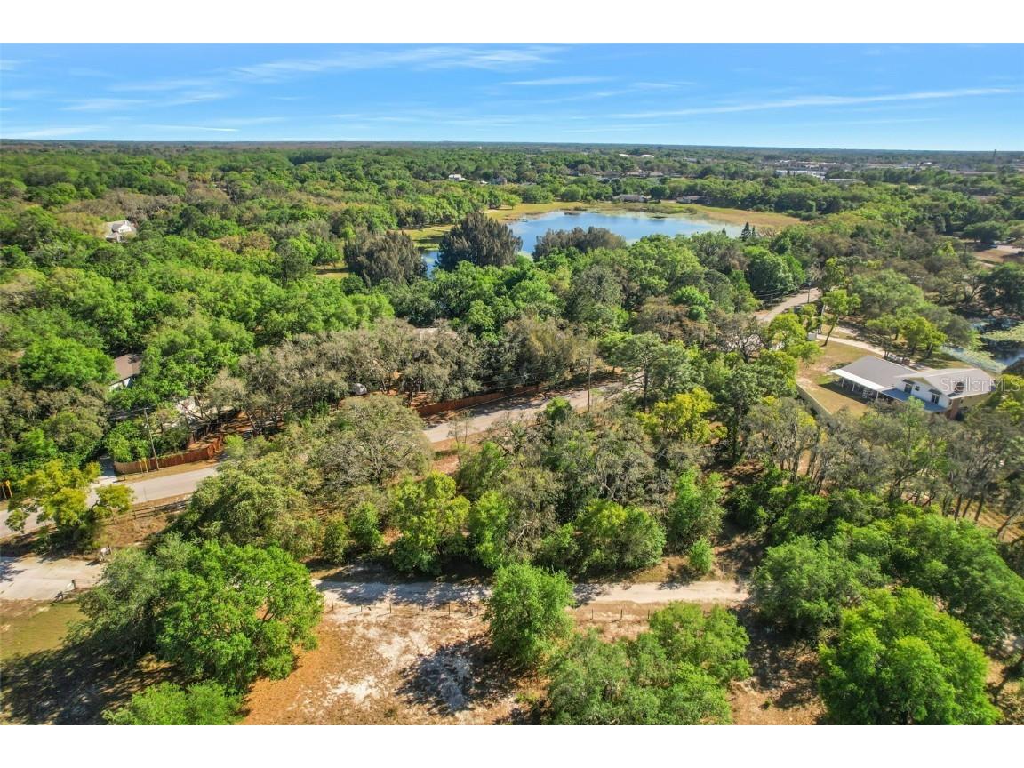 9333 Hilltop Drive New Port Richey FL 34654 W7853122 image1