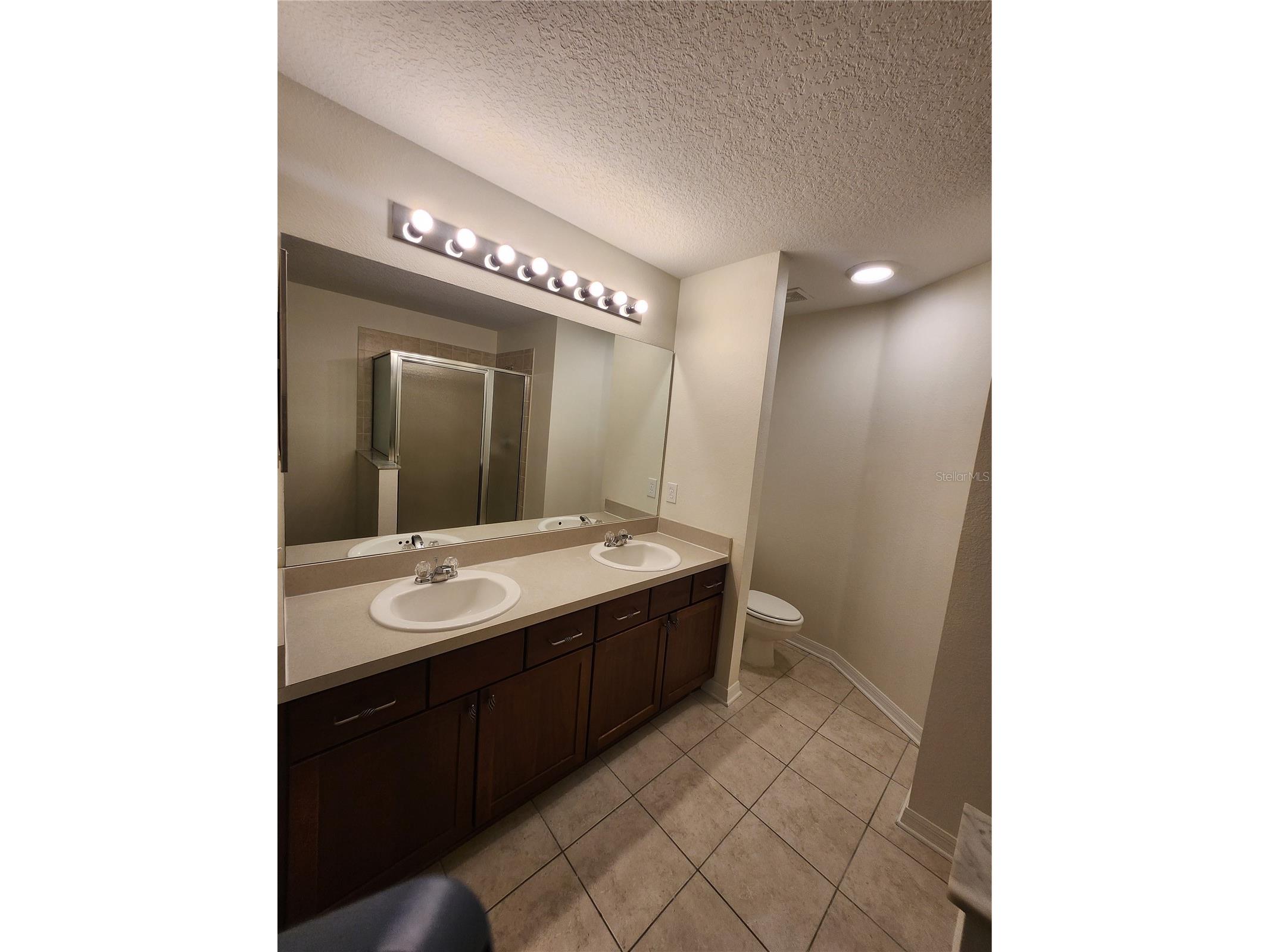 9333 Stone River Place Riverview FL 33578 TB8528843 image22