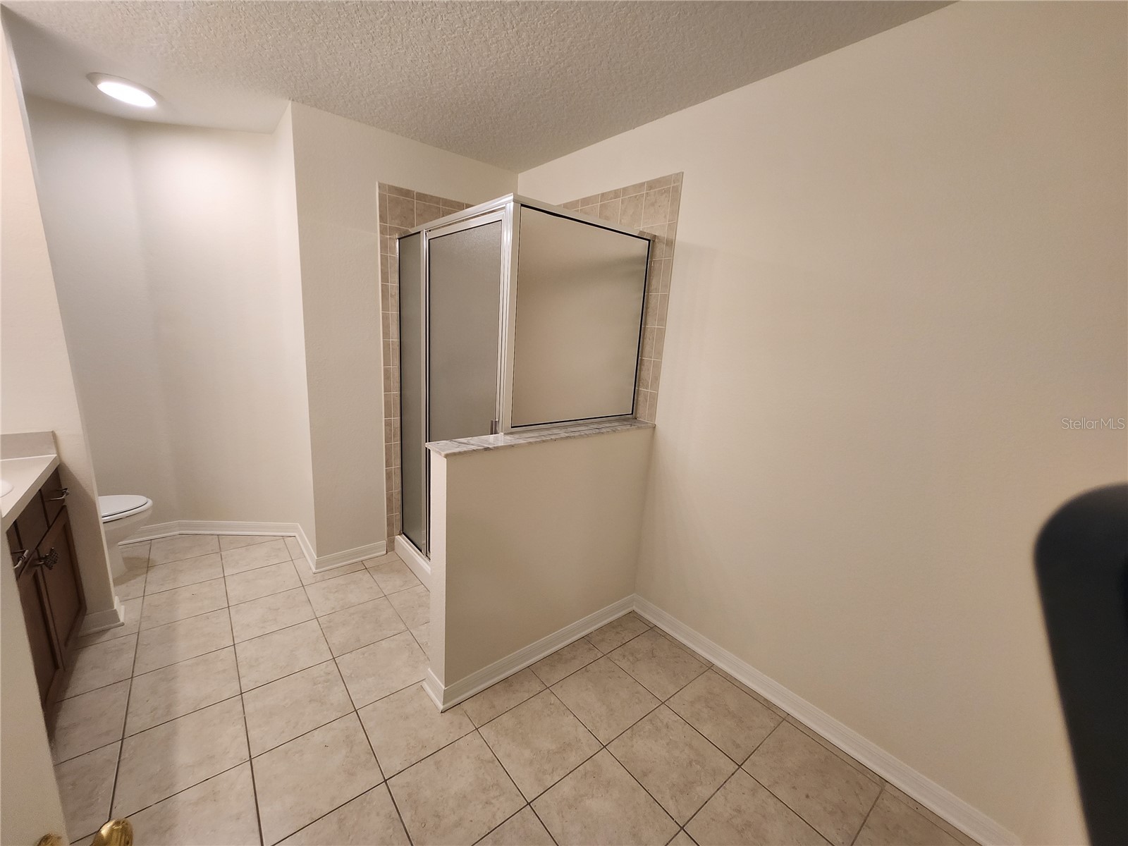 9333 Stone River Place Riverview FL 33578 TB8528843 image23