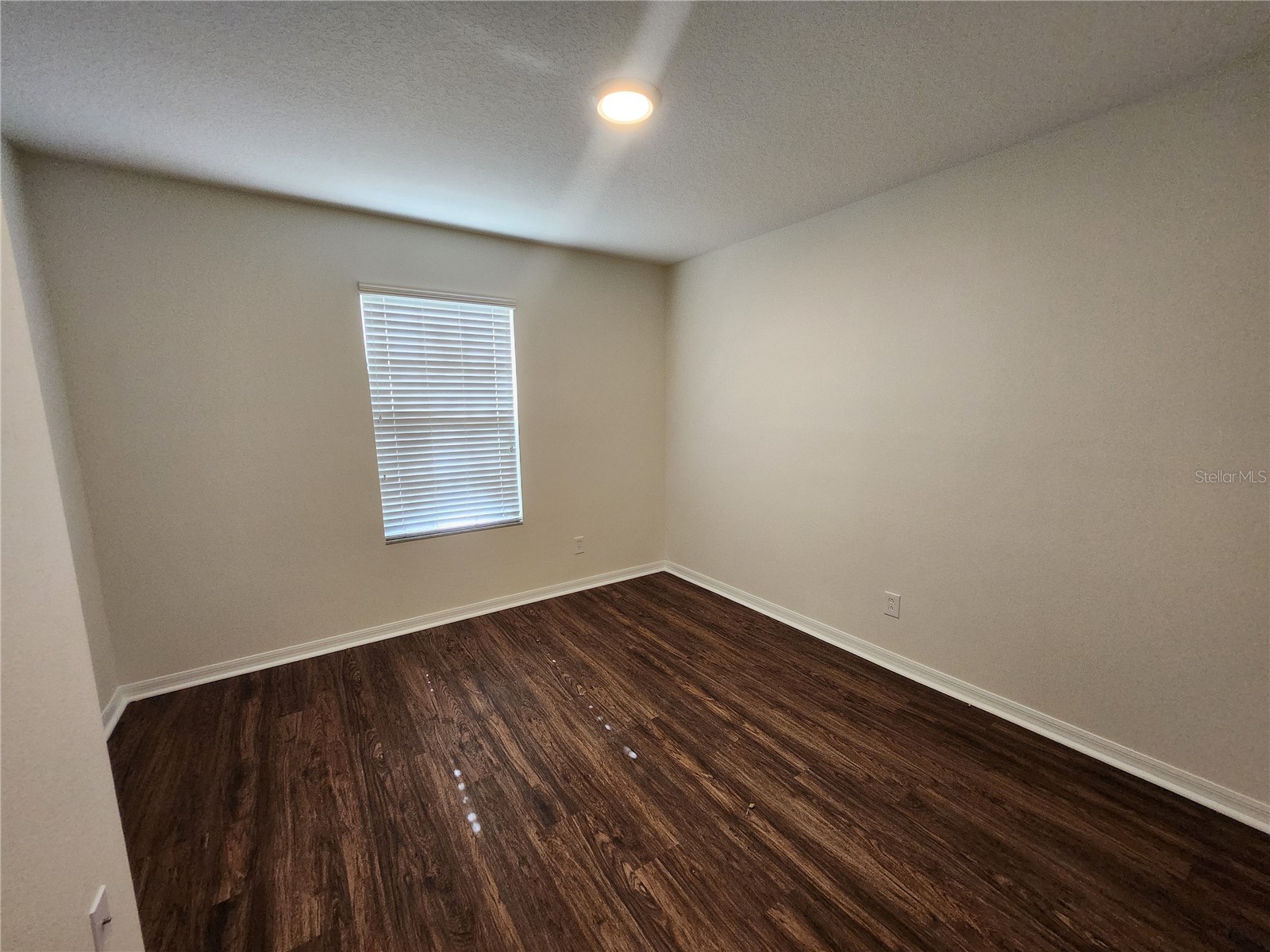9333 Stone River Place Riverview FL 33578 TB8528843 image31