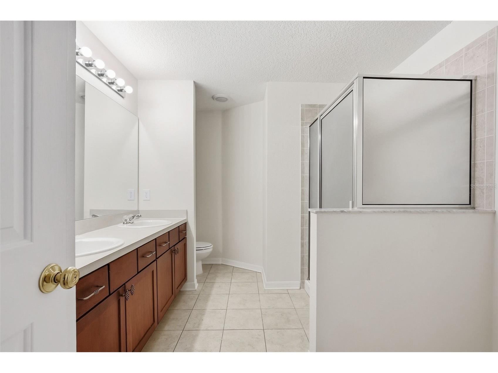 9333 Stone River Place #N/A Riverview FL 33578 O6390575 image31